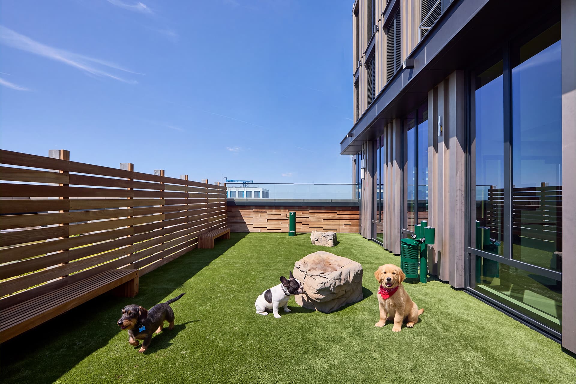 505 Summit dog run